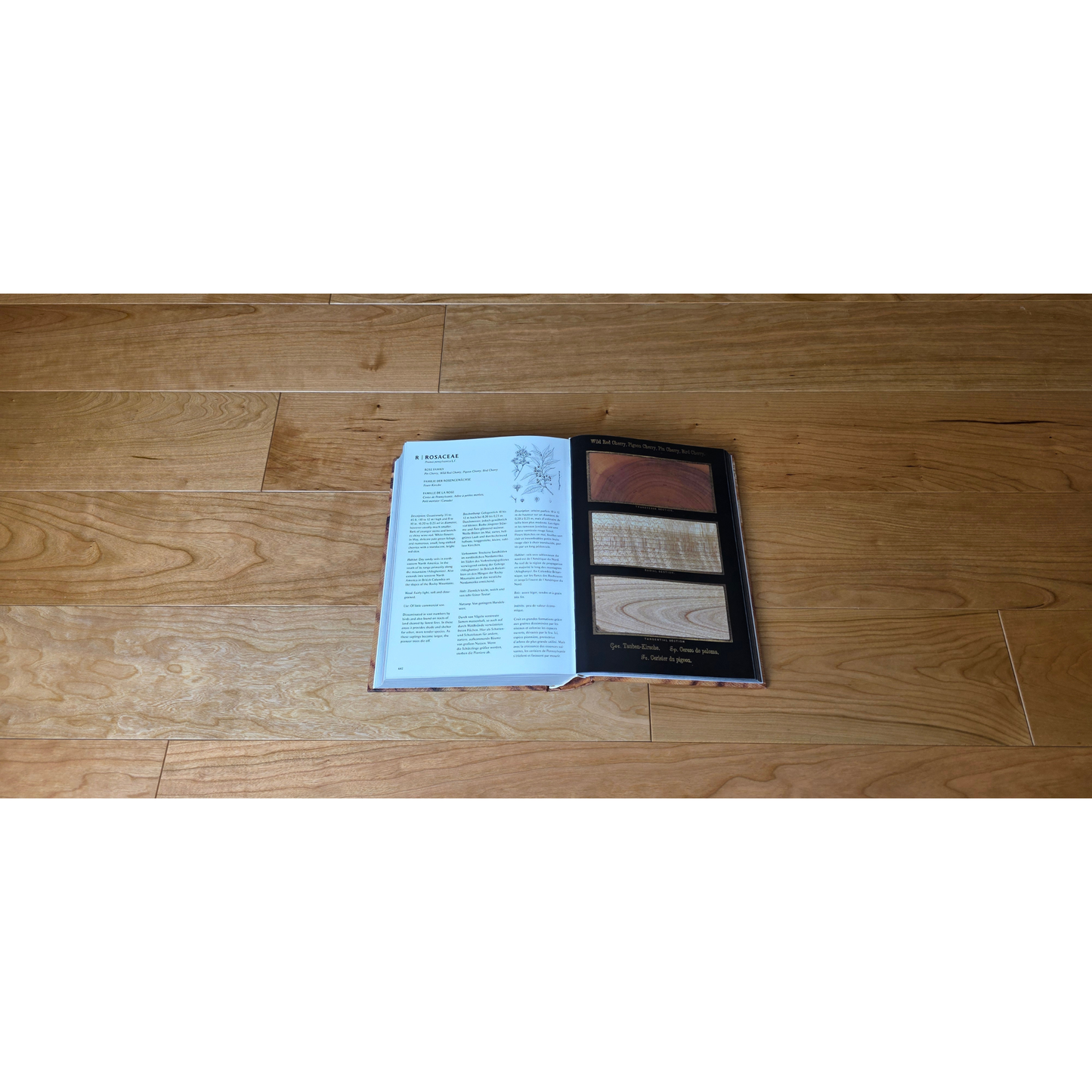5" x 3/4" American Cherry Natural Hardwood Flooring shown under an open hardwood book. The book is open at the center of the image.