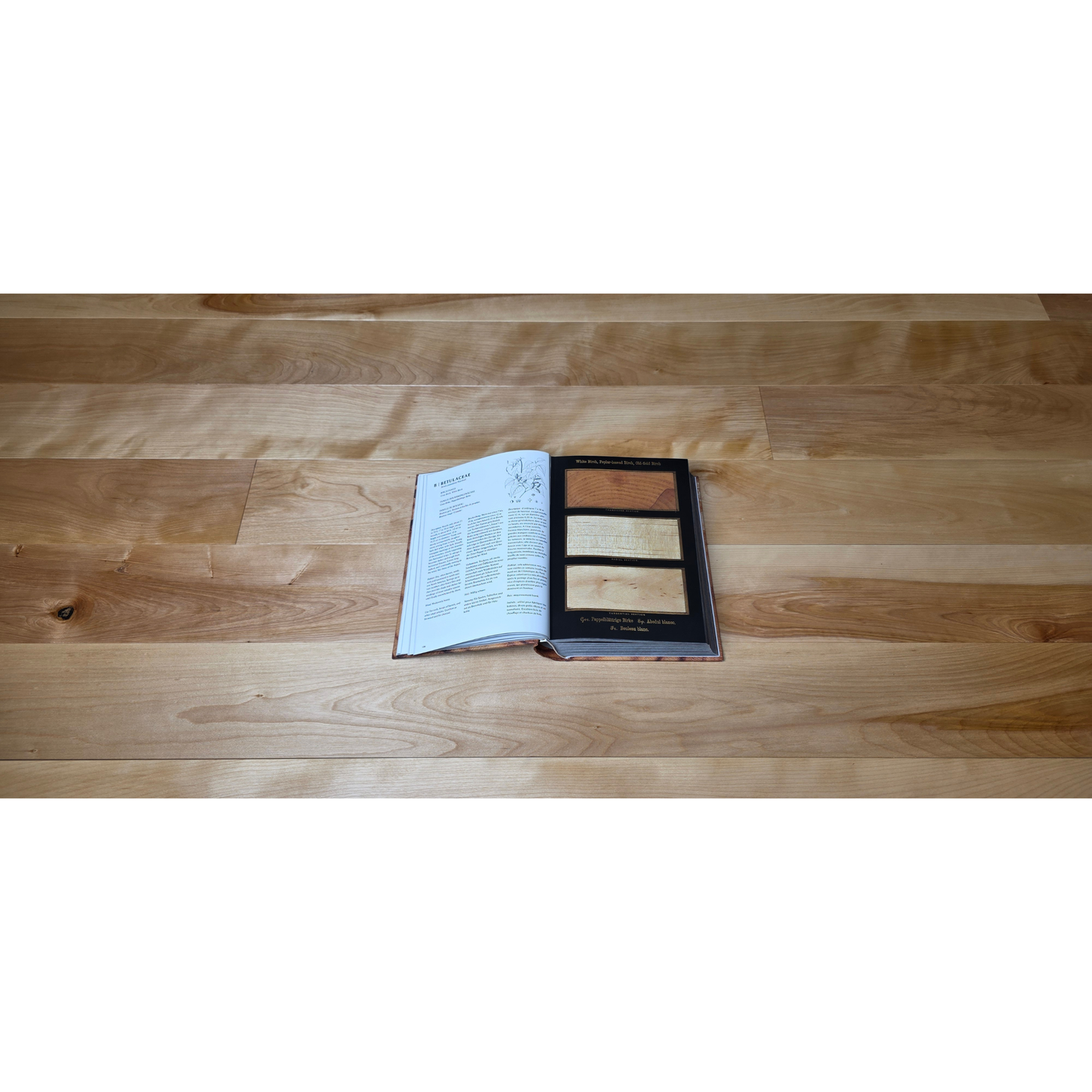 5" x 3/4" Solid Yellow Birch Natural Hardwood Flooring shown with a book open to a Birch page at center. Under the planks is the Birch flooring. 