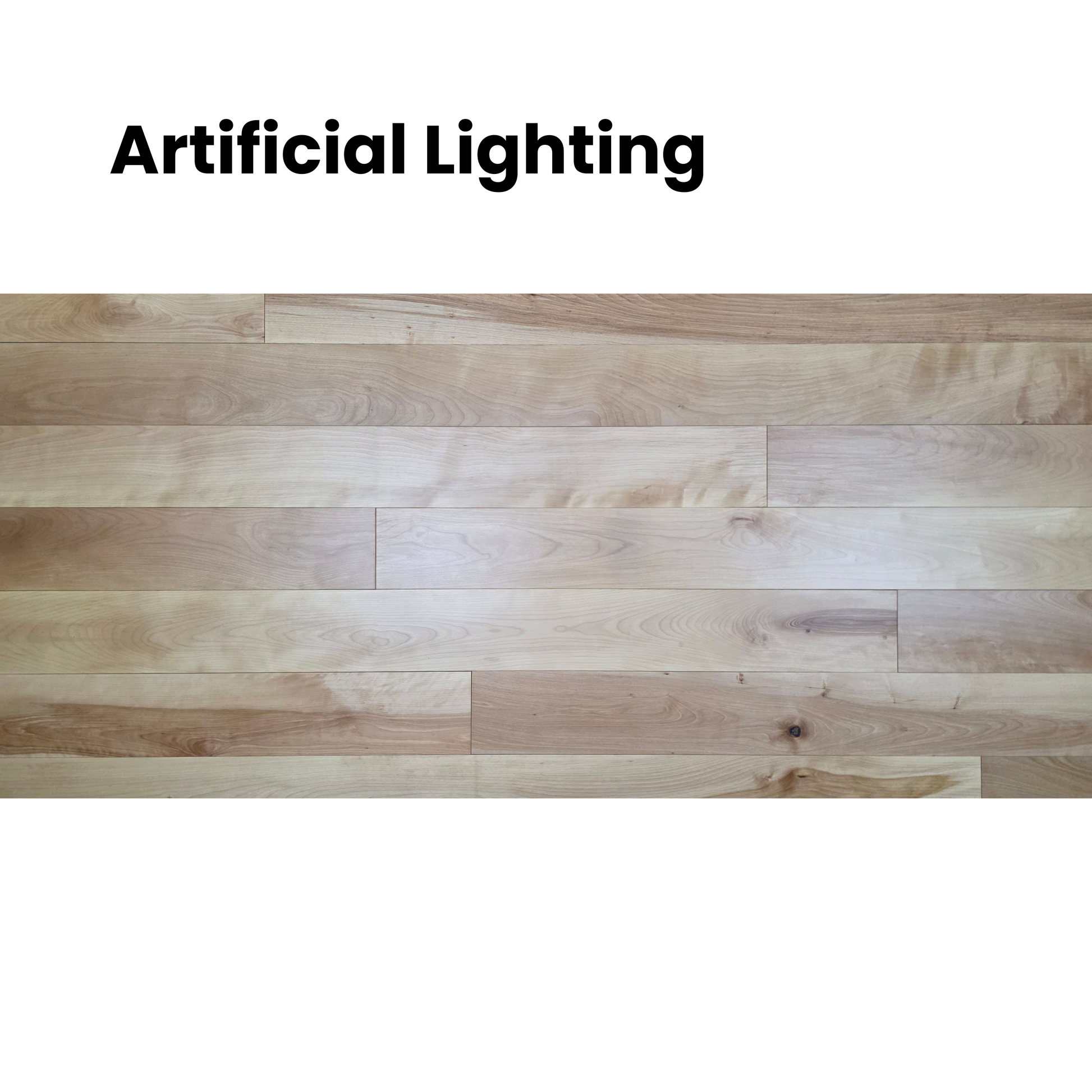 5" x 3/4" Solid Yellow Birch Natural Hardwood Flooring shown in artificial lighting.