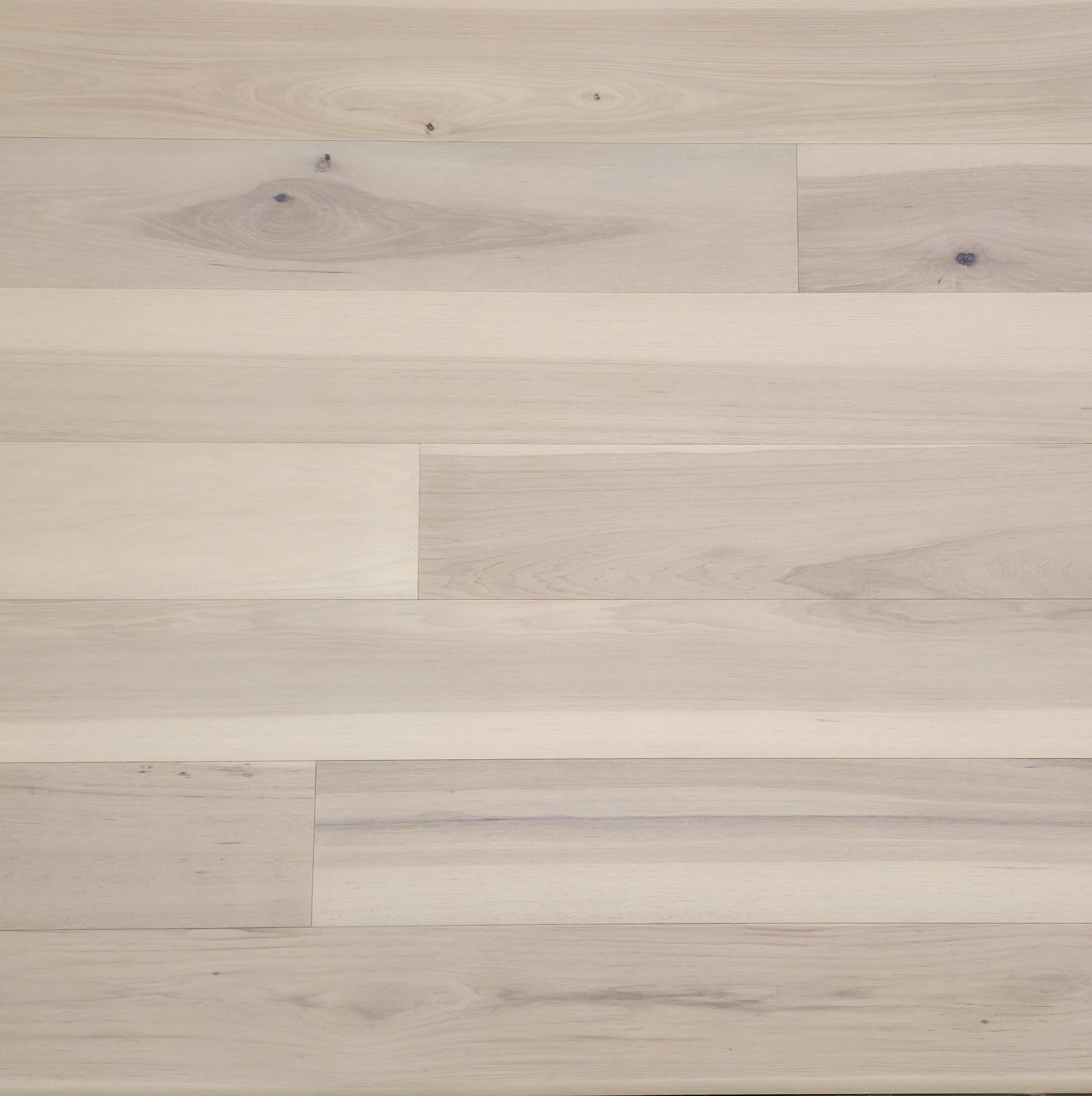 6.5" x 1/2" Engineered European Hickory Glenfiddich Squared Up