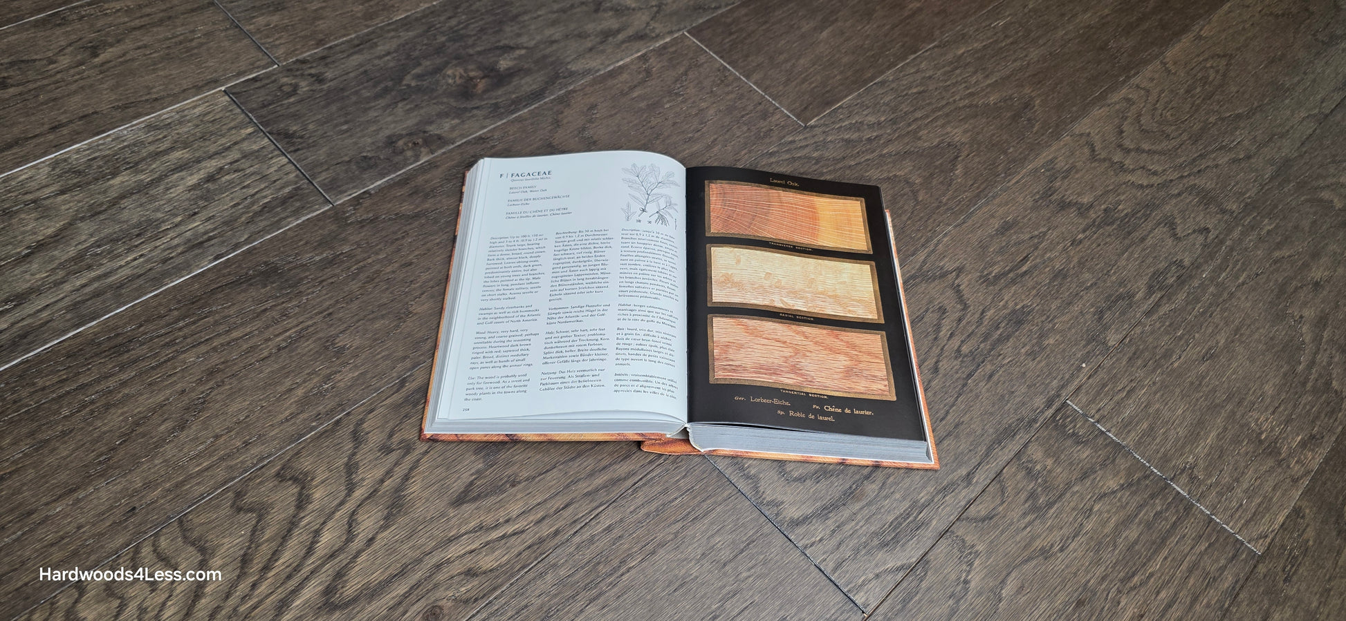 6 1/2" x 3/8" Engineered White Oak Nocturne Hardwood Flooring. Shown in the center is a Hardwood book open to a random Oak page. Under the book is the White oak Flooring. 