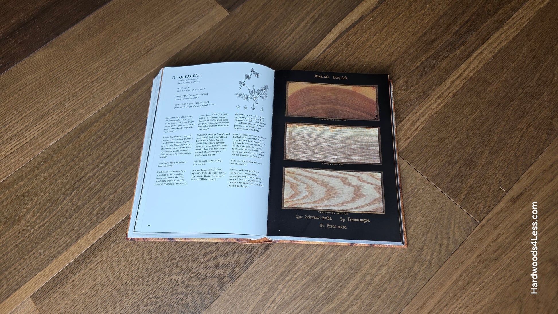 6 1/2" x 7/16" Engineered White Oak Wingham Hardwood Flooring. Shown in the center is a hardwood book. The book is resting on top of the engineered white oak flooring.