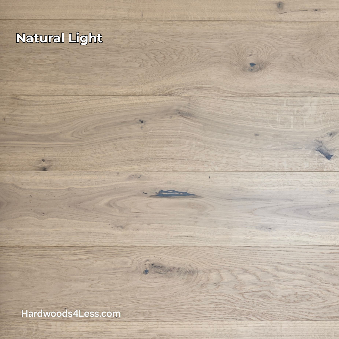 7 1/2" x 1/2" Engineered European White Oak Belleray Hardwood Flooring. Shown in natural lighting.