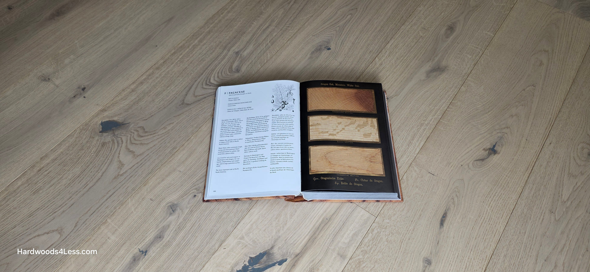 7 1/2" x 1/2" Engineered European White Oak Colmar Hardwood Flooring. Shown with a hardwood book, opened to a random page. The book is resting on top of the Engineered White Oak flooring.