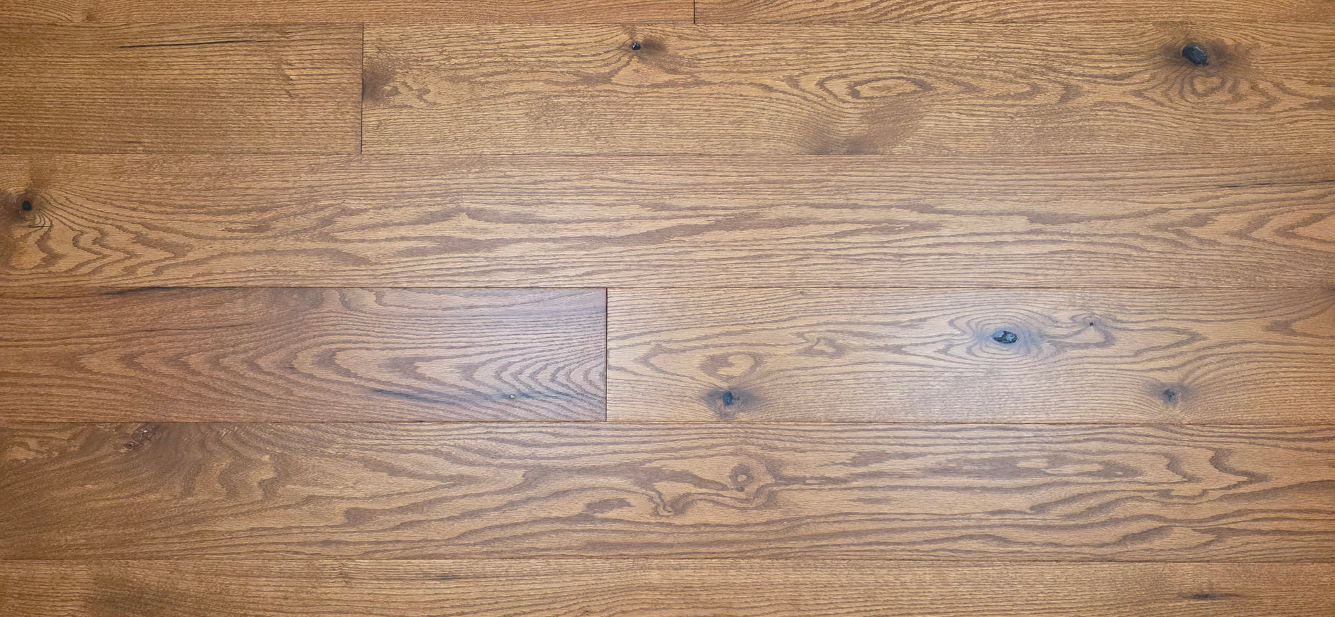 Engineered Red Oak Gunstock Hardwood Flooring Up close wide angle
