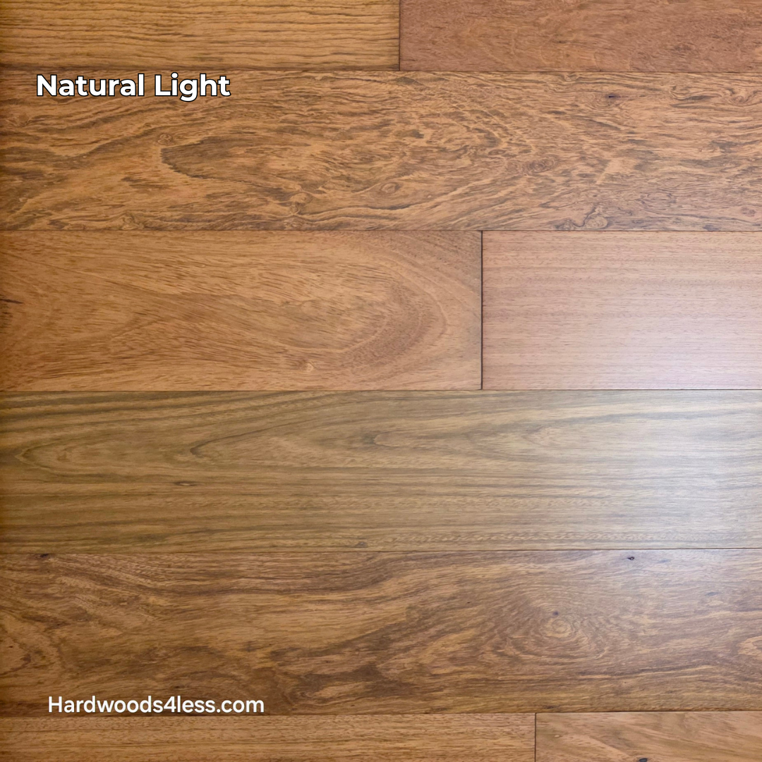 7" x 9/16" Engineered Brazilian Cherry Hardwood Flooring. Shown in Natural lighting. 