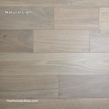 7" x 9/16" Engineered Brazilian Oak Mist Hardwood Flooring. Shown in natural lighting.