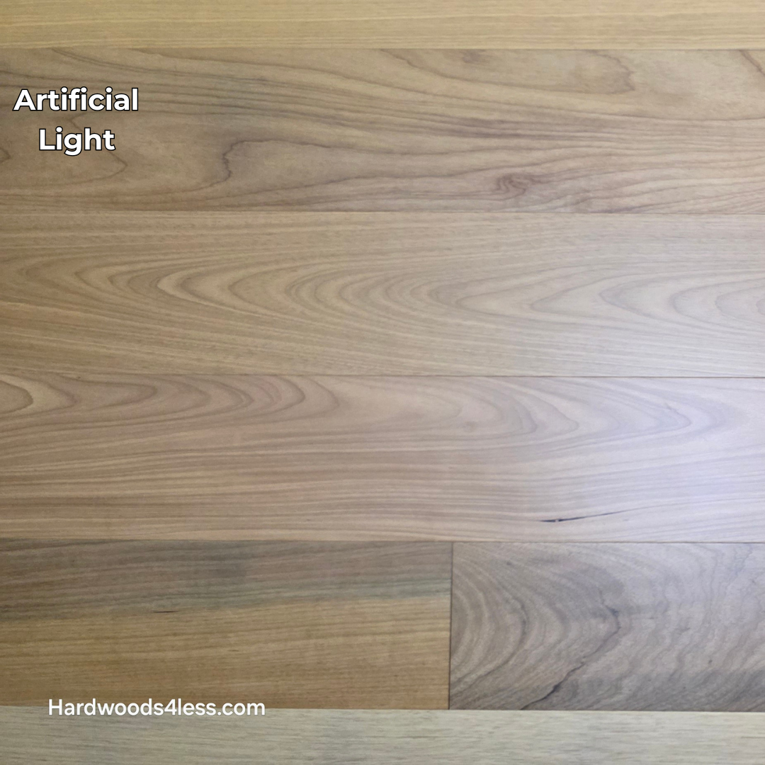 7" x 9/16" Engineered Brazilian Oak Natural Hardwood Flooring. Shown in artificial lighting. 
