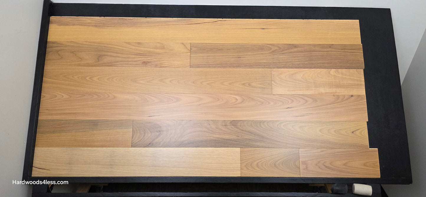 7" x 9/16" Engineered Brazilian Oak Natural Hardwood Flooring. Shown on a black shooting table. Shot from center.