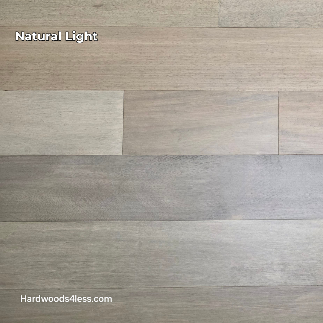 7" x 9/16" Engineered Brazilian Oak Pyrite Hardwood Flooring. Shown in Natural lighting.