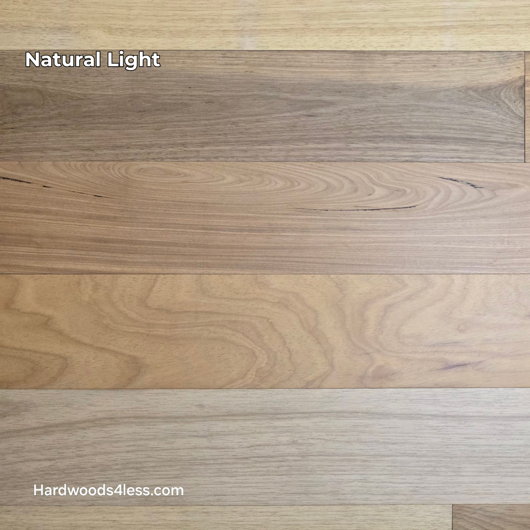 7" x 9/16" Engineered Brazilian Oak Sunlight Hardwood Flooring. Shown in natural lighting.