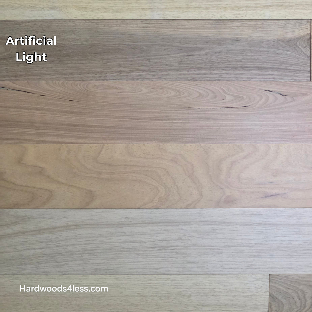 7" x 9/16" Engineered Brazilian Oak Sunlight Hardwood Flooring. Shown in artificial lighting.