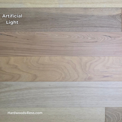 7" x 9/16" Engineered Brazilian Oak Sunlight Hardwood Flooring. Shown in artificial lighting.