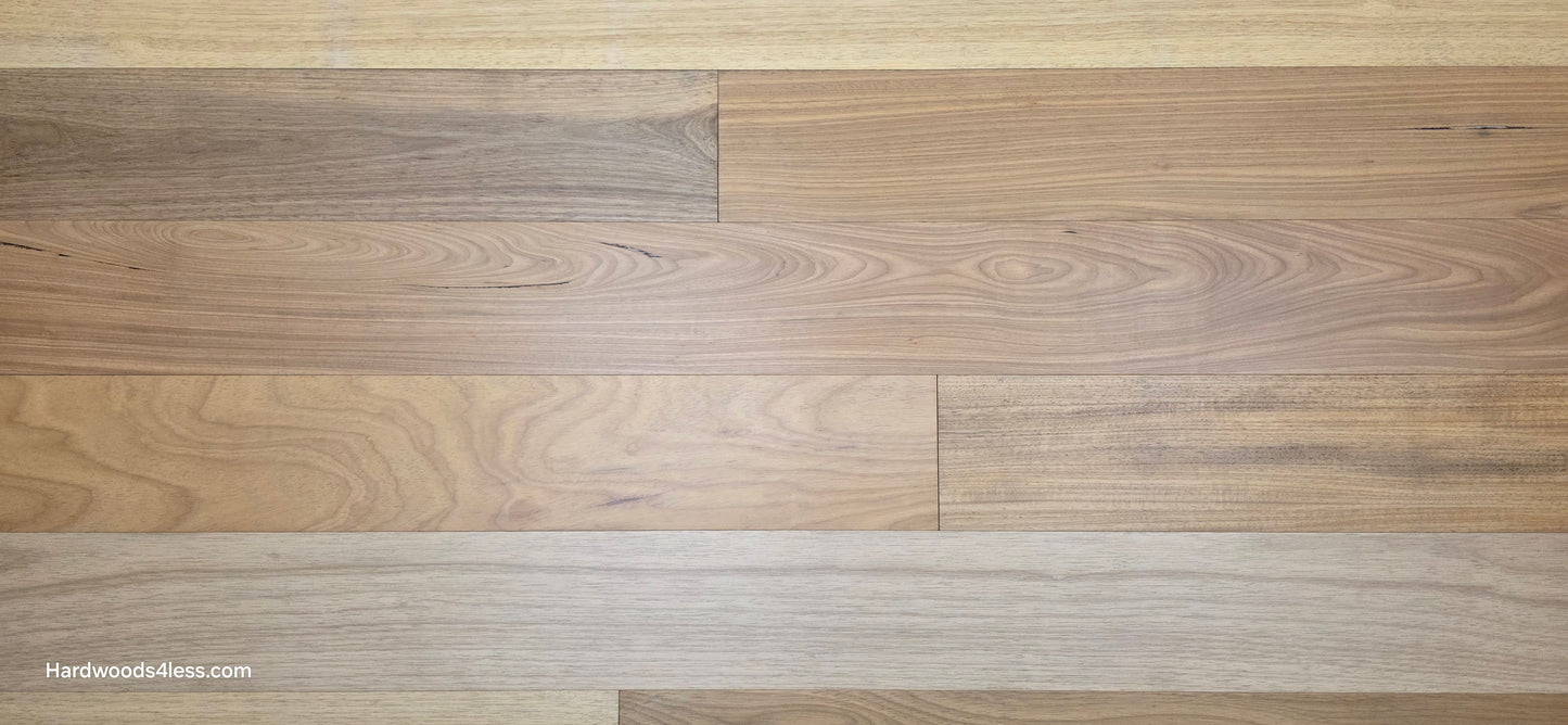 7" x 9/16" Engineered Brazilian Oak Sunlight Hardwood Flooring. 