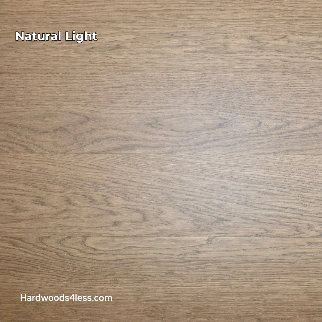 8.11" x 7/16" Modernized Engineered European Oak Calatrava Hardened Hardwood Flooring. Shown in natural lighting.