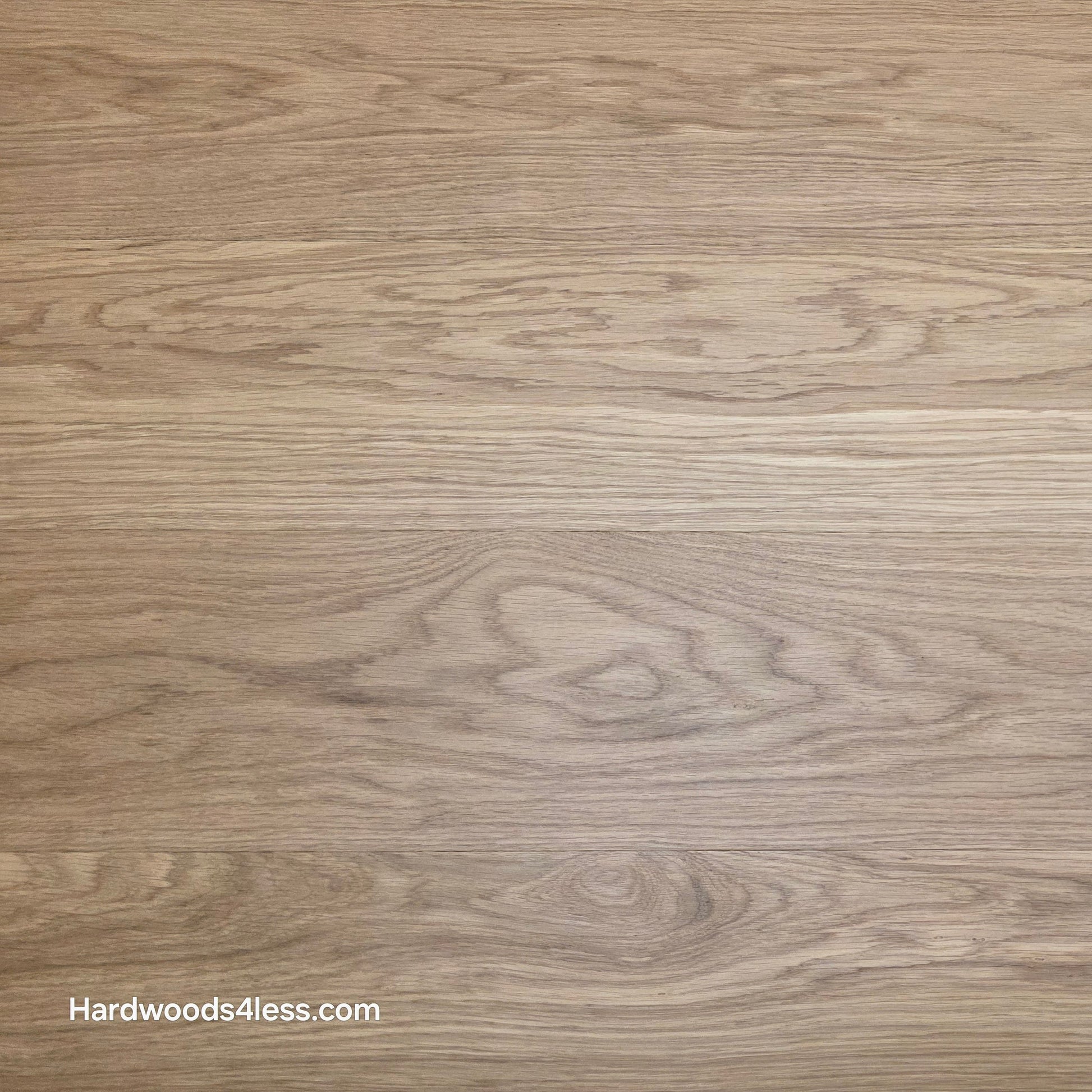 8.11" x 7/16" Modernized Engineered European Oak Wright Hardened Hardwood Flooring. Shown Close up. 