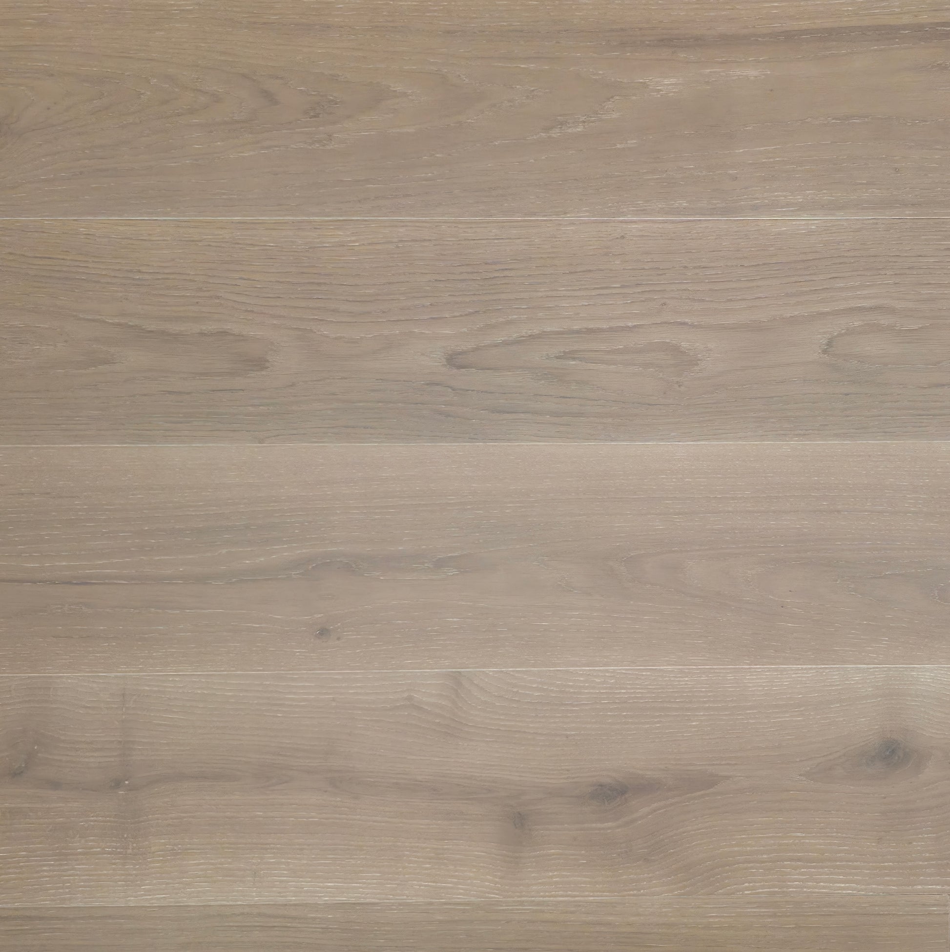 8.66" x 5/8" Engineered European White Oak Oban Squared Up