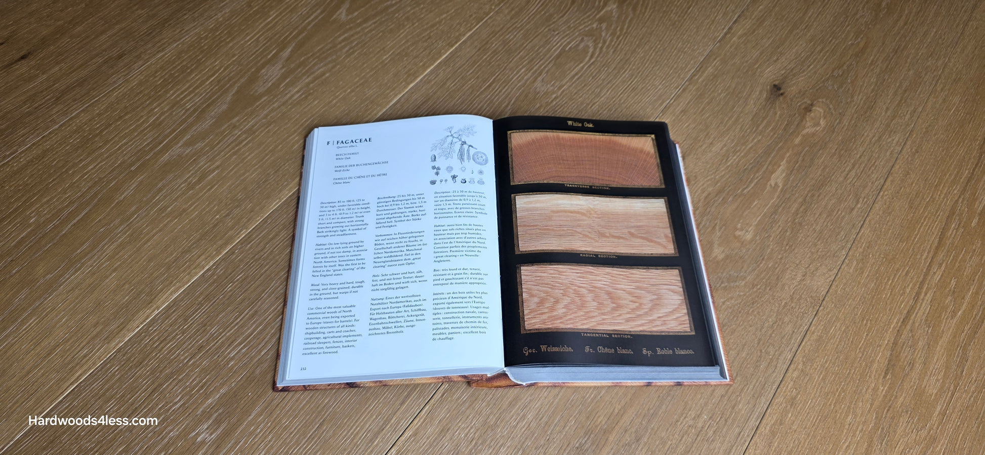 8.66" x 5/8" Engineered European Oak Pacific Grove Hardwood Flooring. Shown center frame is a hardwood book. The book is open to a random White Oak page. The book is resting on the White oak flooring.