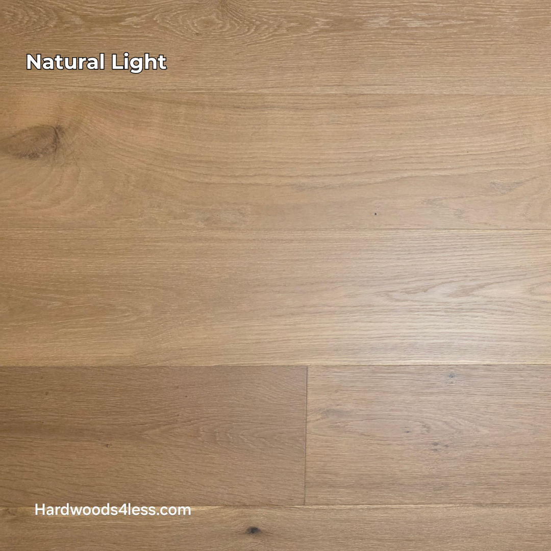 8.66" x 5/8" Engineered European Oak Pacific Grove Hardwood Flooring. Shown in natural lighting.