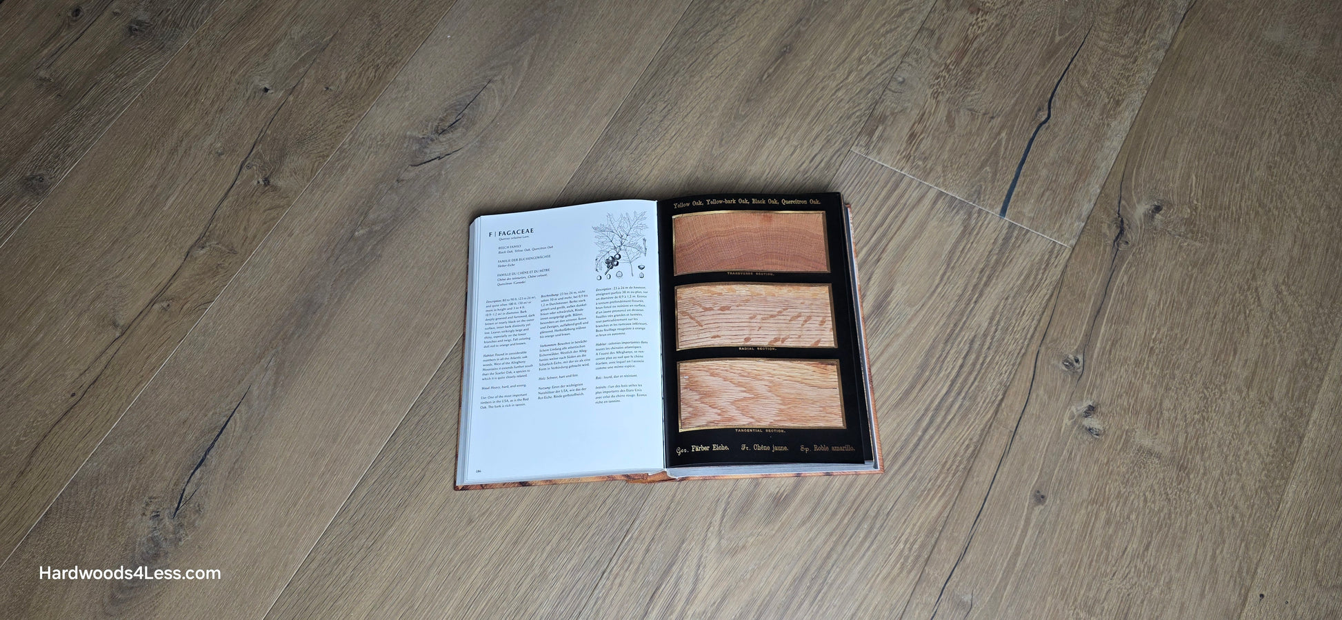 8 5/8" x 5/8" Engineered European Oak Highball Hardwood Flooring. Shown in the center is a Hardwood book. Under the book is the European oak flooring.