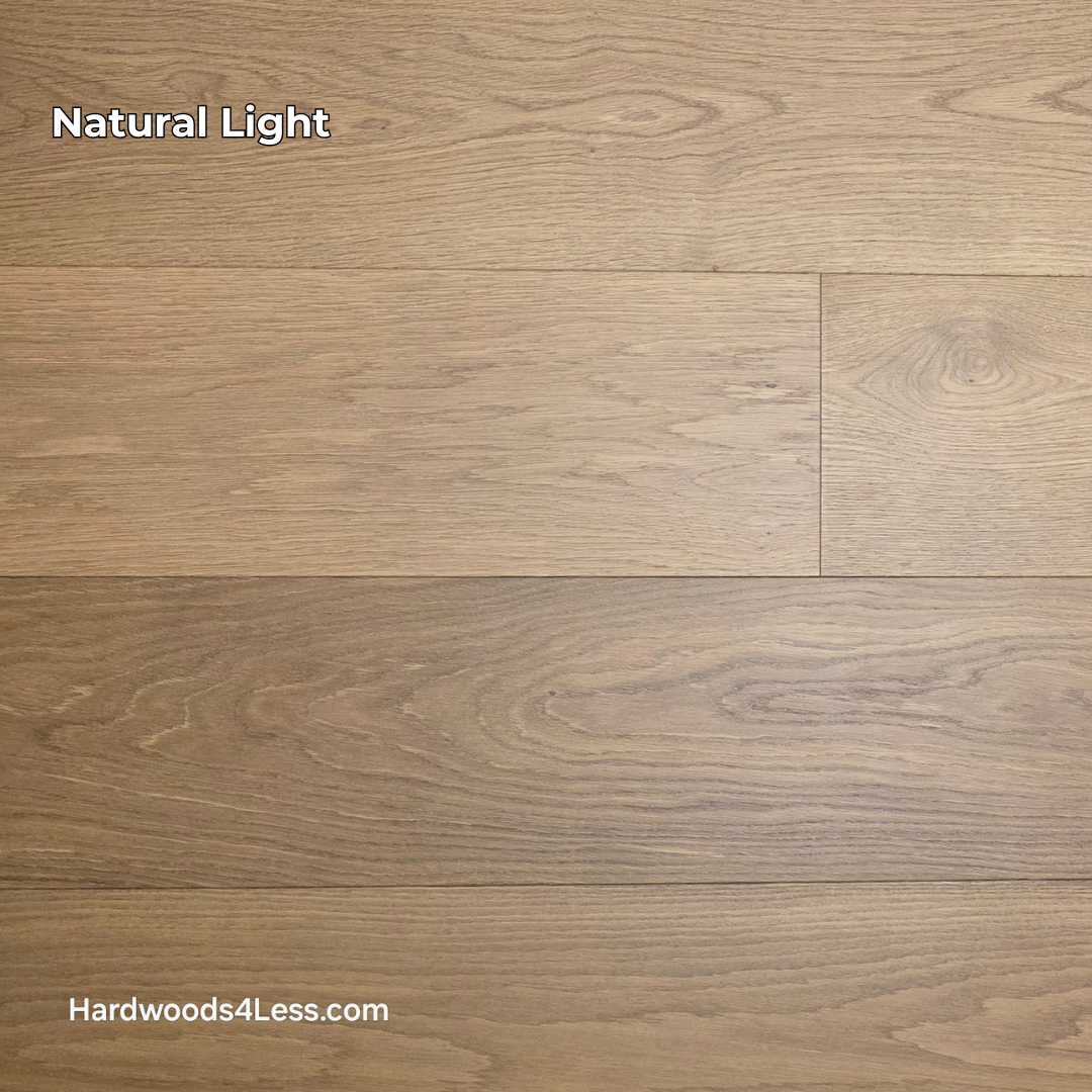 9 1/2" x 3/4" Engineered European Oak Albion Hardwood Flooring. Show in natural lighting.