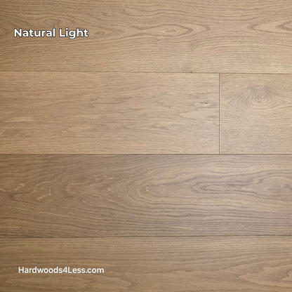 9 1/2" x 3/4" Engineered European Oak Albion Hardwood Flooring. Show in natural lighting.