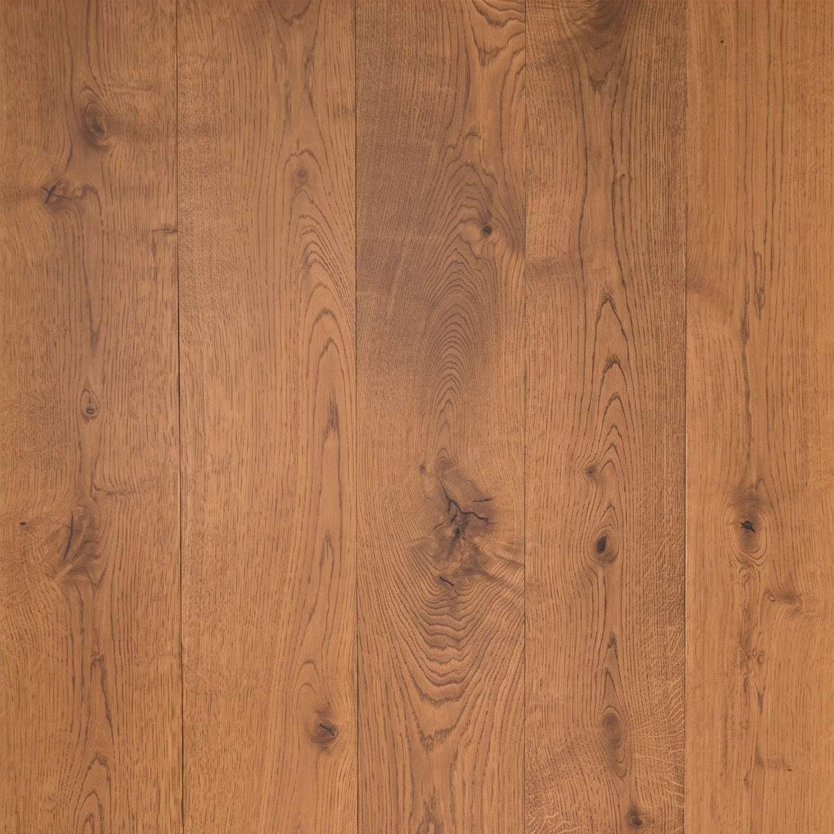 8 1/4" x 9/16" Engineered European Oak Corinth Hardwood Flooring