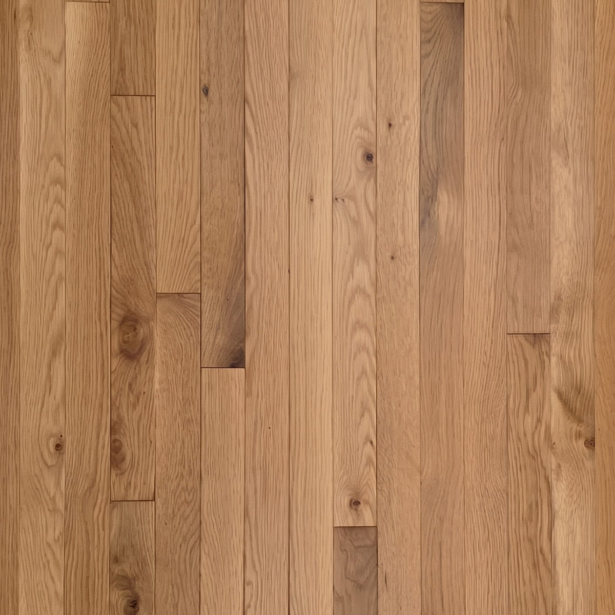 2 1/4" x 3/4" White Oak Natural #1 & Better Hardwood Flooring