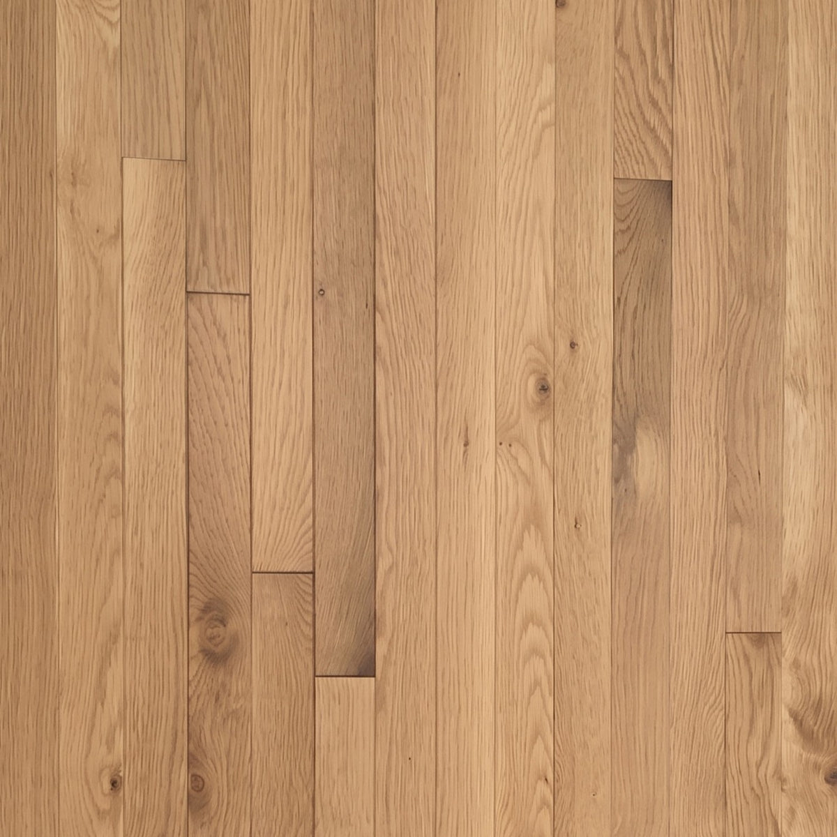 5" x 3/4" White Oak Natural #1 & Better Hardwood Flooring