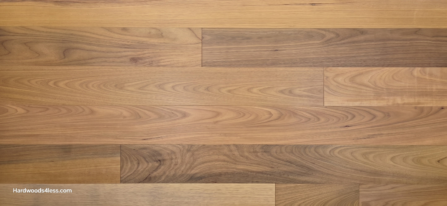 7" x 9/16" Engineered Brazilian Oak Natural Hardwood Flooring
