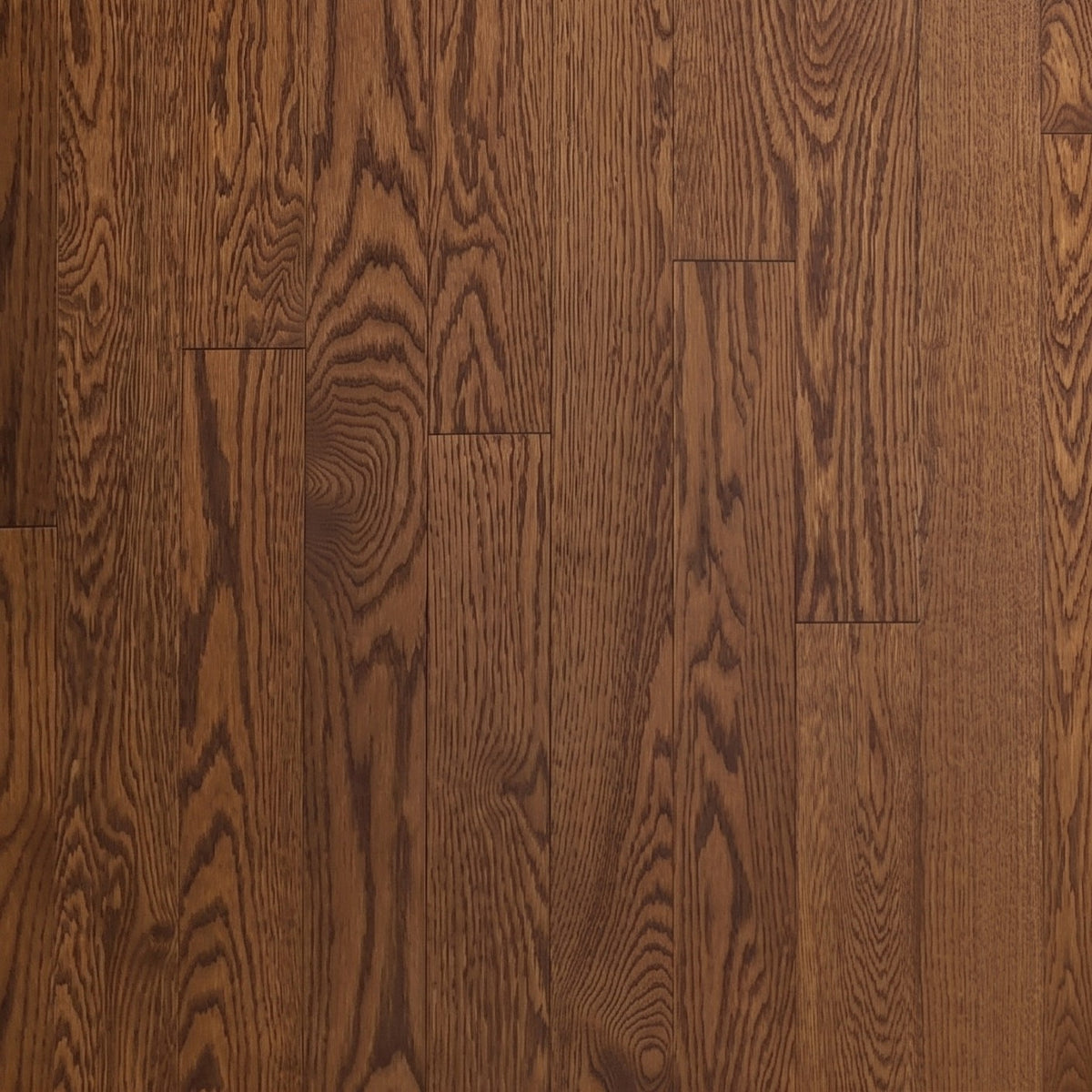 3 1/4" x 3/4" Red Oak Butterscotch Common & Better Hardwood Flooring