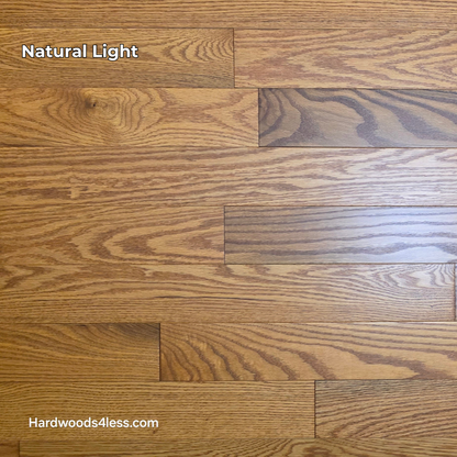 3 14 x 34 Solid Red Oak Blake Hardwood Flooring. Shown in natural lighting.