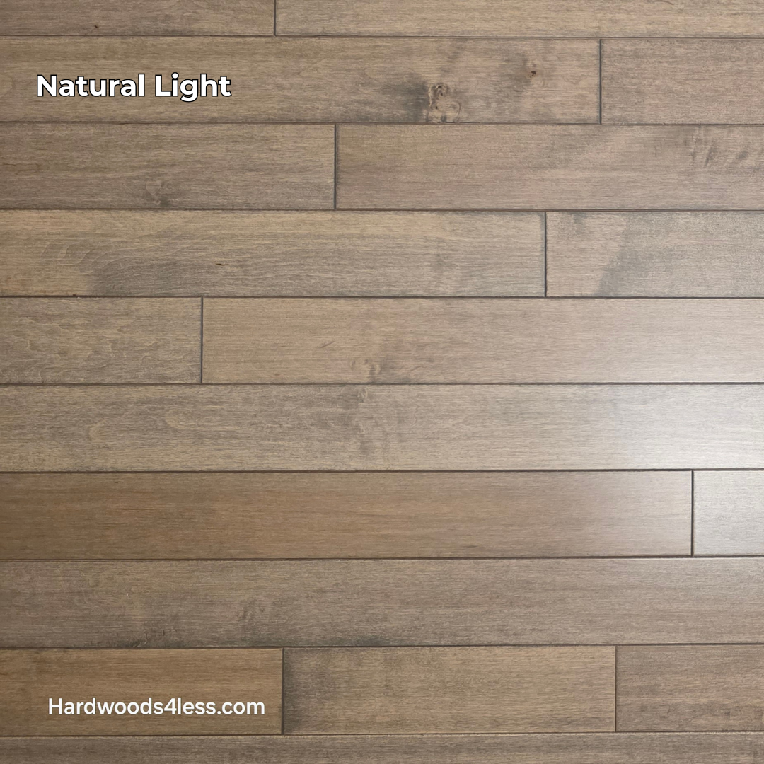 3 1/4" x 3/4" Solid Maple Dove Hardwood Flooring. Shown in natural lighting.