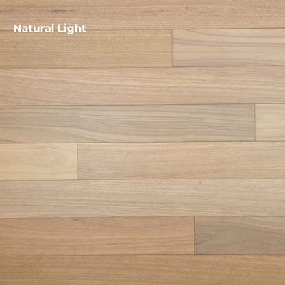 4" x 3/4" Solid Brazilian Oak Natural Hardwood Flooring Tagged with natural light