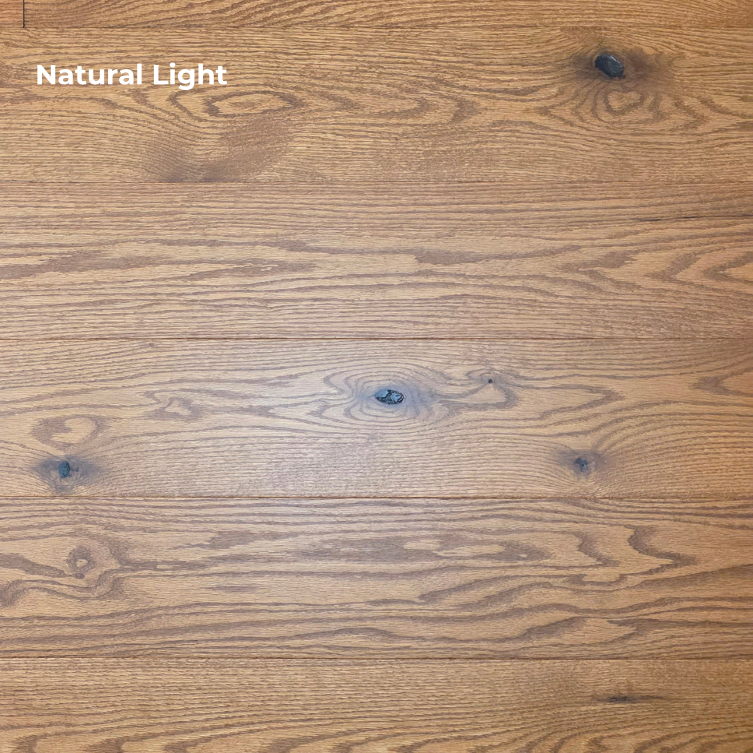 Engineered Red Oak Gunstock Hardwood Flooring Up close with Natural light