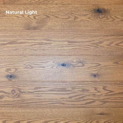 Engineered Red Oak Gunstock Hardwood Flooring Up close with Natural light