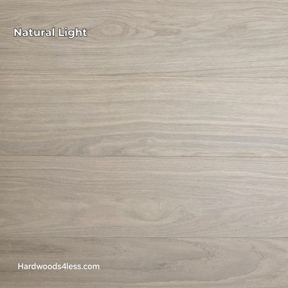 8.11 x 716 Modernized Engineered European Oak Corbusier hardened Hardwood Flooring. Shown in natural lighting.