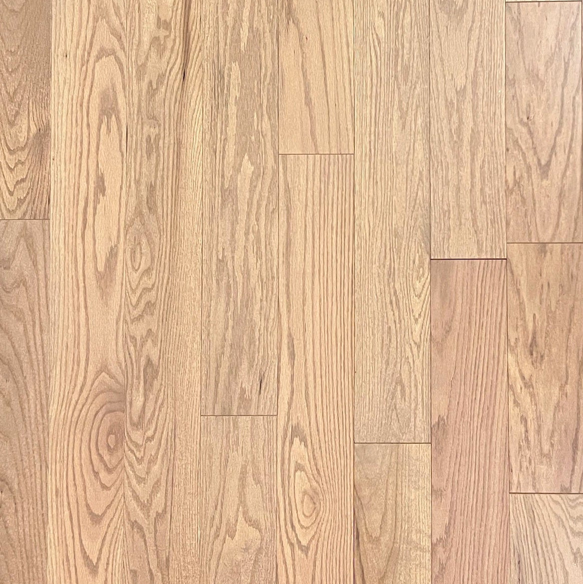 3 1/4" x 1/2" Engineered Oak Wheat Hardwood Flooring *Builder Grade*