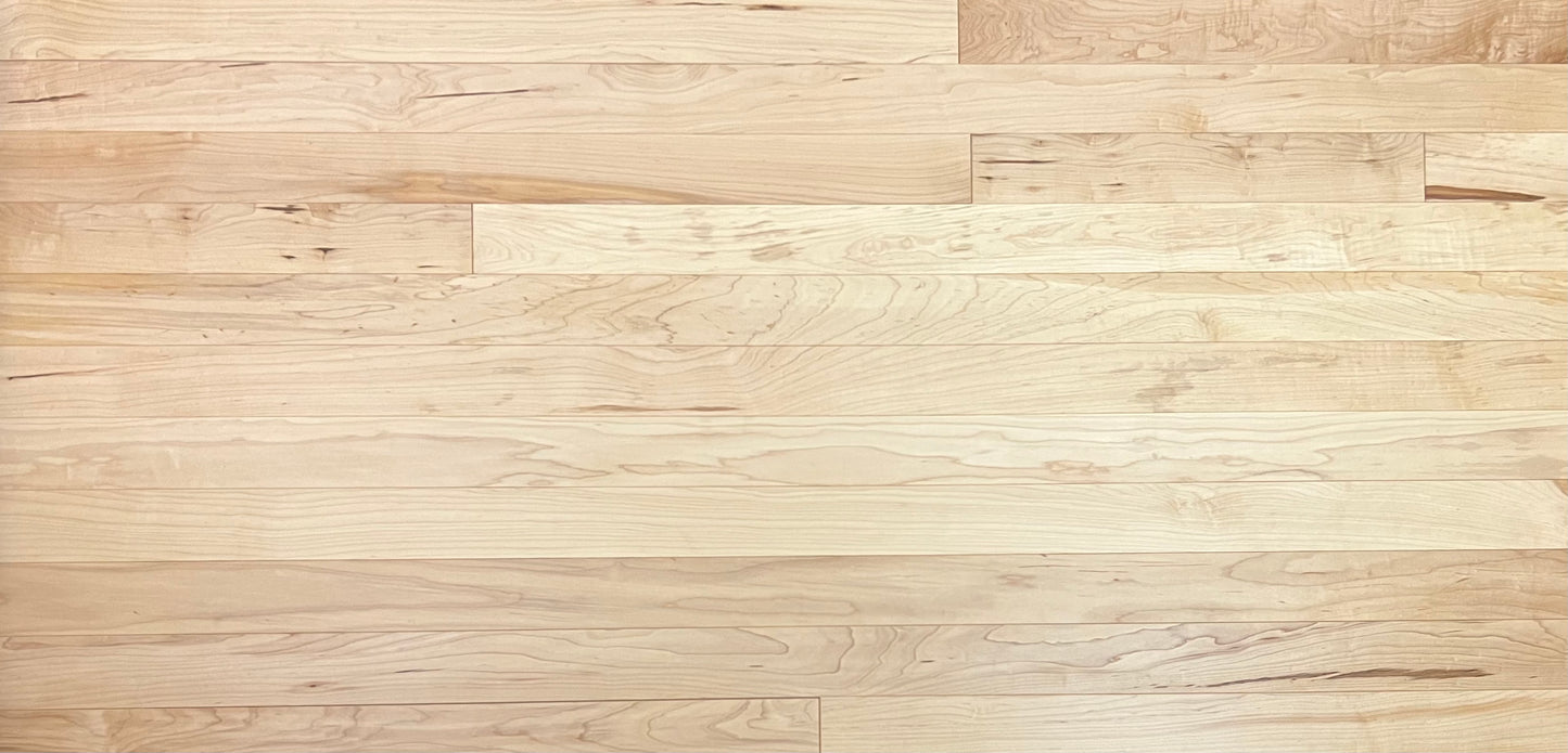 3 1/4" x 1/2" Engineered Maple Hardwood Flooring